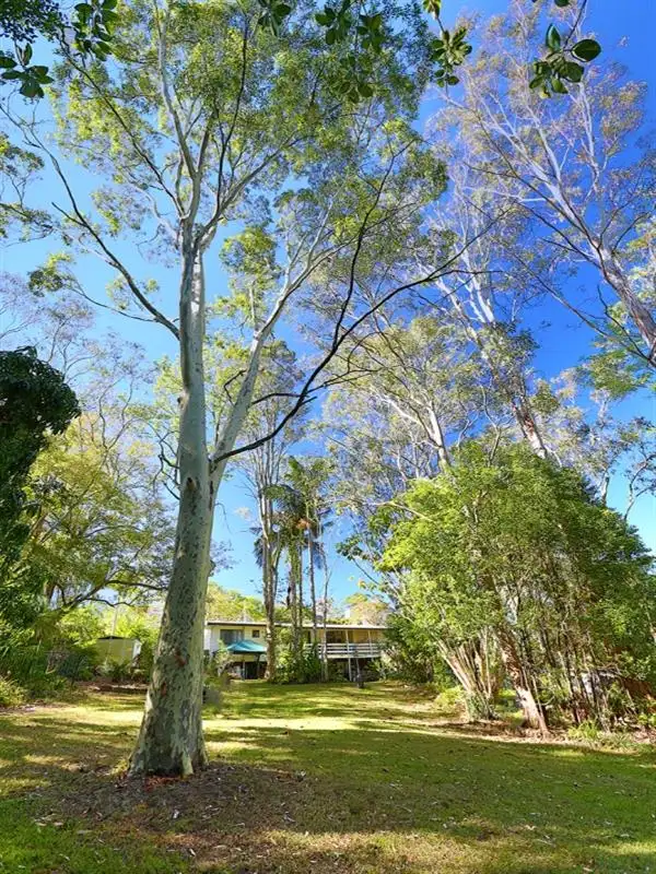 Fifth view of Homely house listing, 11 Brandenburg Road, Mooloolah Valley QLD 4553