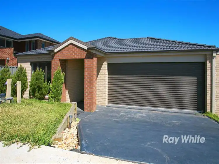 Main view of Homely house listing, 19 Wiltshire Avenue, Cranbourne East VIC 3977