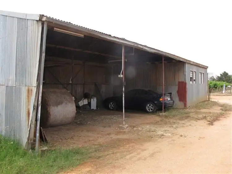60 Forward Avenue, Loveday SA 5345