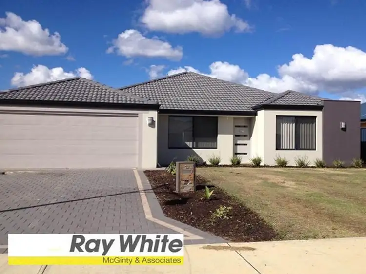 Main view of Homely house listing, 16 Gingerale Circle, Byford WA 6122