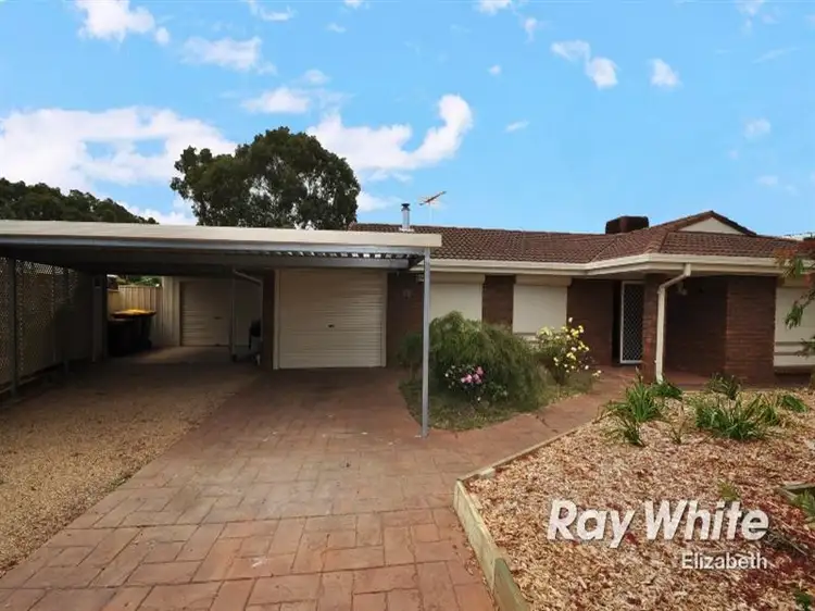 19 Carob Crescent, Craigmore SA 5114