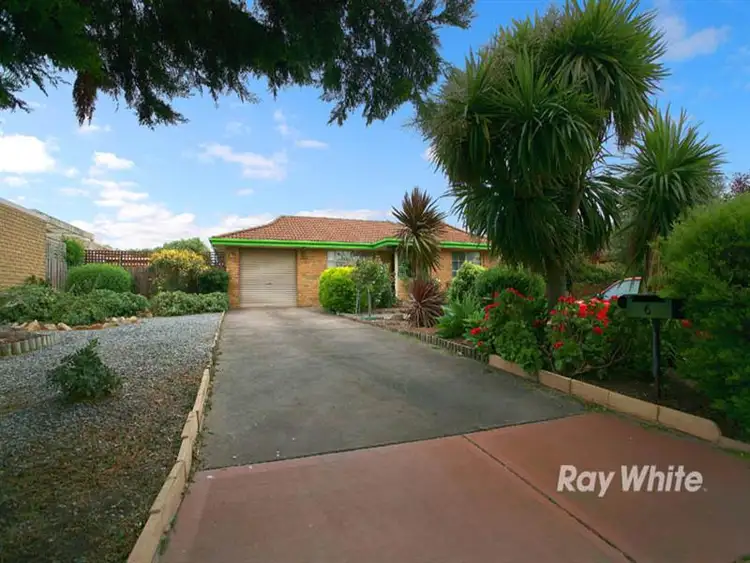 Second view of Homely house listing, 6 Bamboo Court, Cranbourne North VIC 3977