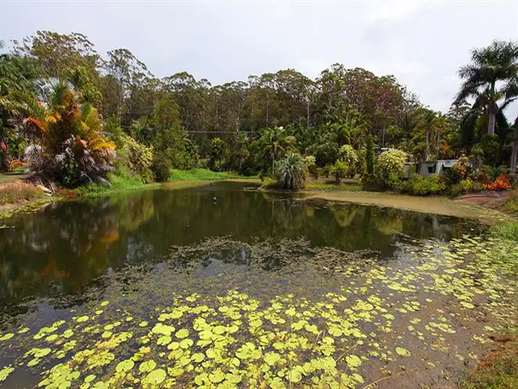 Third view of Homely house listing, 311 Petrie Creek Road, Rosemount QLD 4560