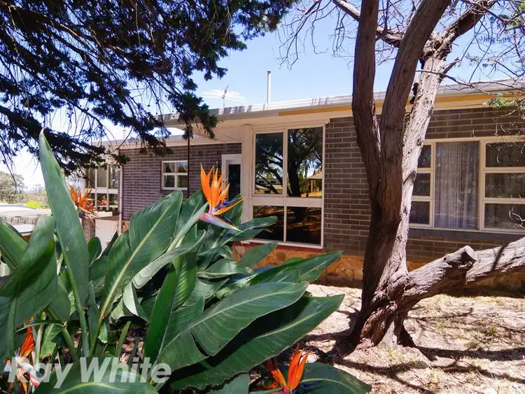 Second view of Homely house listing, 74 Gloucester Avenue, Belair SA 5052