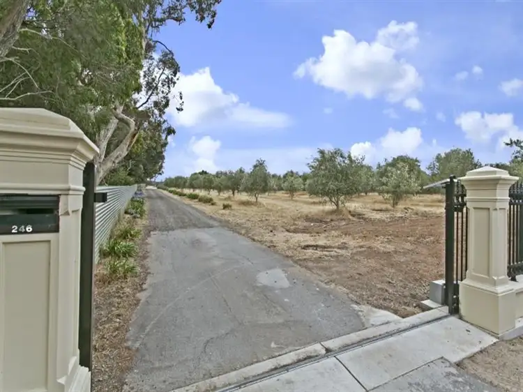 Third view of Homely house listing, 246 Cornishmans Hill Road, One Tree Hill SA 5114