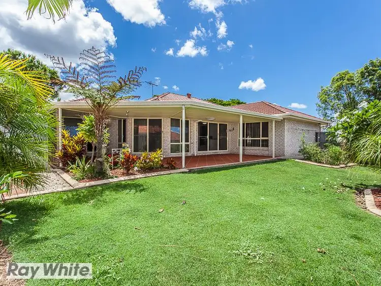 Main view of Homely house listing, 4 Figbird Road, Narangba QLD 4504