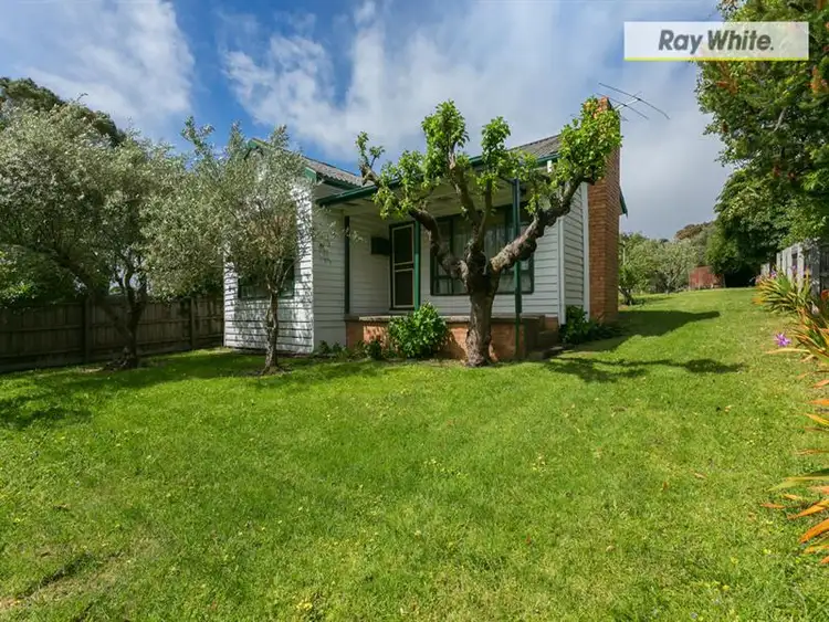 Main view of Homely house listing, 19 Potton Avenue, Rosebud VIC 3939