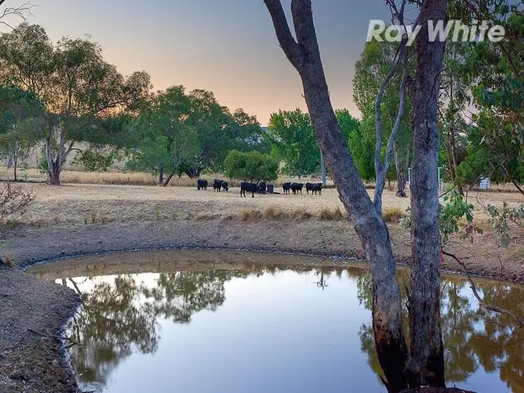 Fourth view of Homely rural property listing, 23 Spring Gully Road, Wodonga VIC 3690