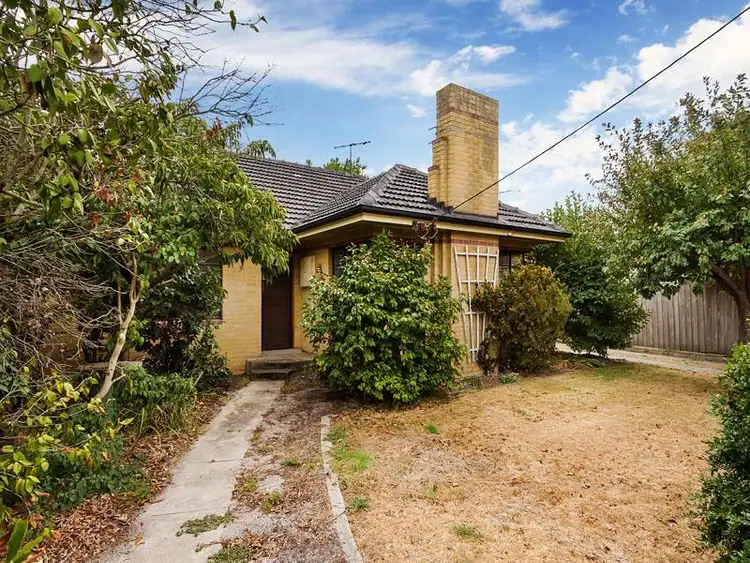 3 Nicol Street, Hampton VIC 3188