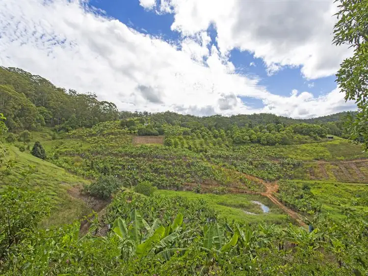 Lot 138 Cudgera Creek Road, Burringbar NSW 2484