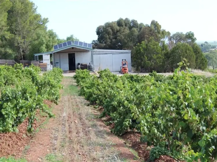 Seventh view of Homely house listing, 121A Radford Road, Seppeltsfield SA 5355
