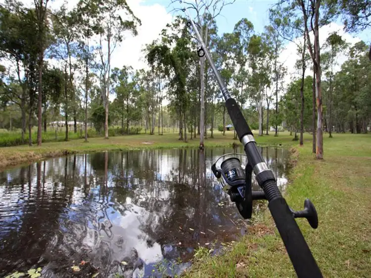 Fifth view of Homely house listing, 34 Davison Road, Camp Mountain QLD 4520
