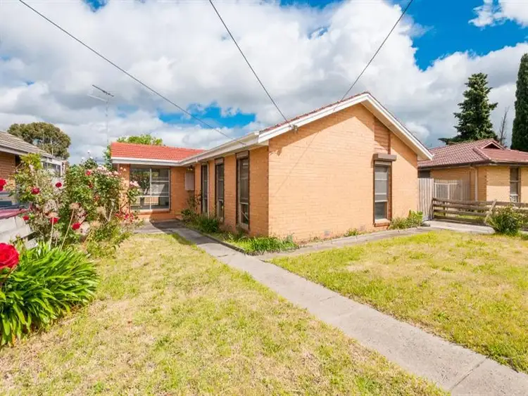 Main view of Homely house listing, 1245 Pascoe Vale Road, Broadmeadows VIC 3047