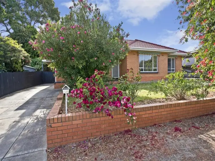 Main view of Homely house listing, 126 Elizabeth Street, Banksia Park SA 5091