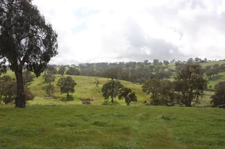 Fifth view of Homely rural property listing, Lot 203 Petwood Road, Nairne SA 5252