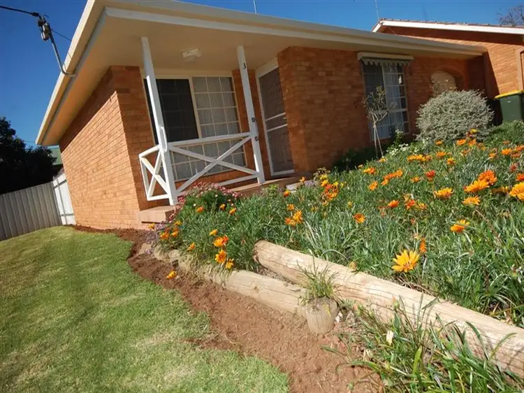 Main view of Homely unit listing, 3/43 Coolah Street, Griffith NSW 2680