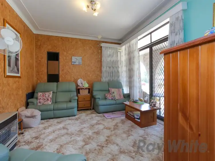 Main view of Homely house listing, 117 University Drive, North Lambton NSW 2299