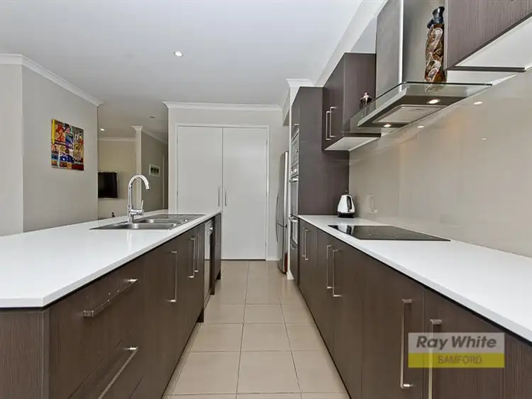 Fifth view of Homely house listing, 3 Stanley Robinson Court, Camp Mountain QLD 4520