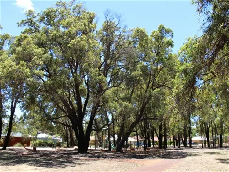 Third view of Homely house listing, 3 Emerald Lane, Bullsbrook WA 6084