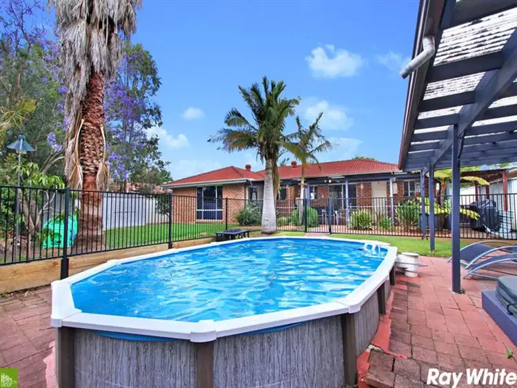Fifth view of Homely house listing, 53 Barcoo Circuit, Albion Park NSW 2527