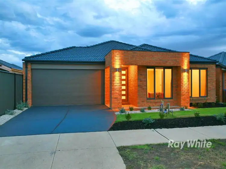 Main view of Homely house listing, 24 Sassafras Place, Cranbourne North VIC 3977