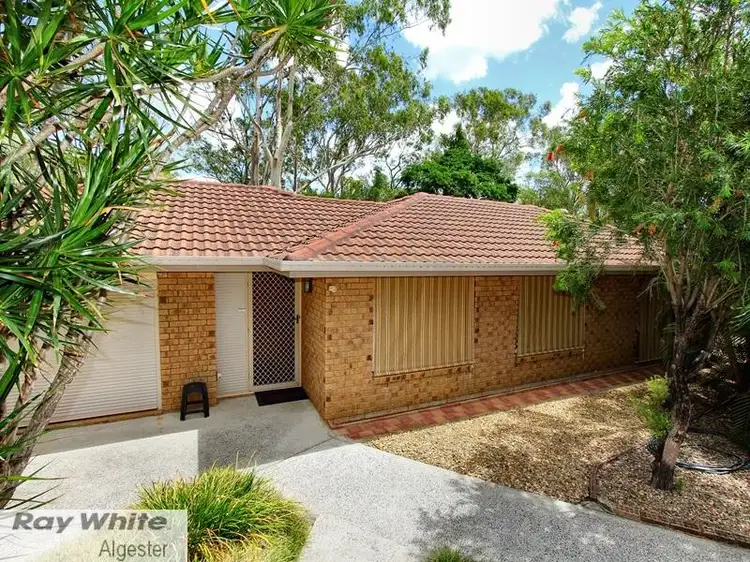 Main view of Homely house listing, 16 Basswood Street, Algester QLD 4115