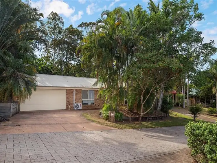 Main view of Homely house listing, 19 Midden Court, Bli Bli QLD 4560