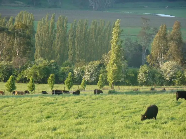 Second view of Homely rural property listing, 425 Nug Nug, Myrtleford VIC 3737