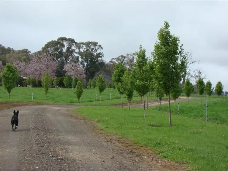 Sixth view of Homely rural property listing, 425 Nug Nug, Myrtleford VIC 3737