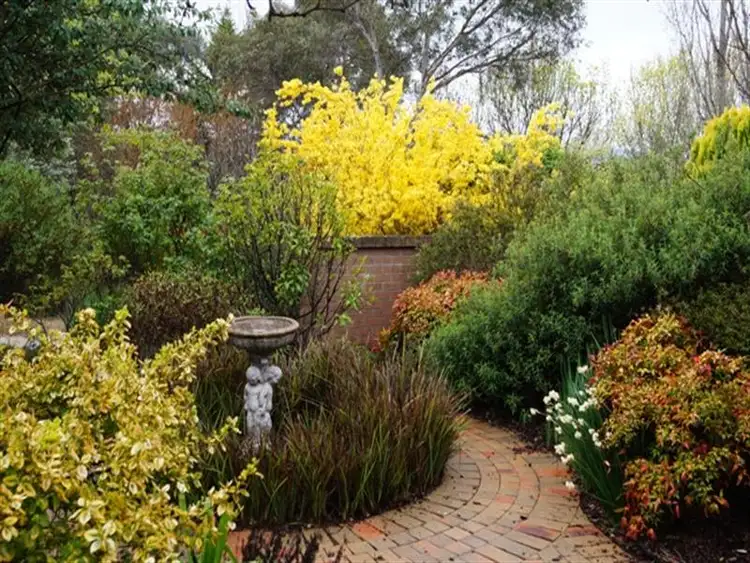 Second view of Homely house listing, 13 Ophir Road, Orange NSW 2800