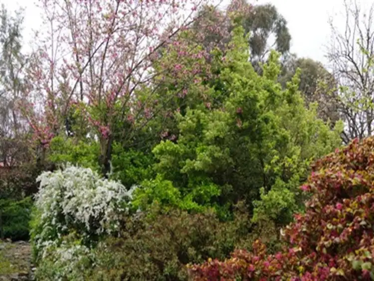 Third view of Homely house listing, 13 Ophir Road, Orange NSW 2800