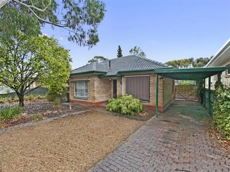Main view of Homely house listing, 8 Pompoota Road, Modbury SA 5092