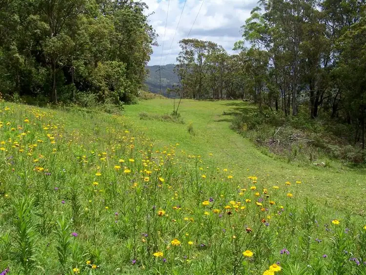 Sixth view of Homely house listing, 2090 Tamborine Mountain Road, Tamborine Mountain QLD 4272