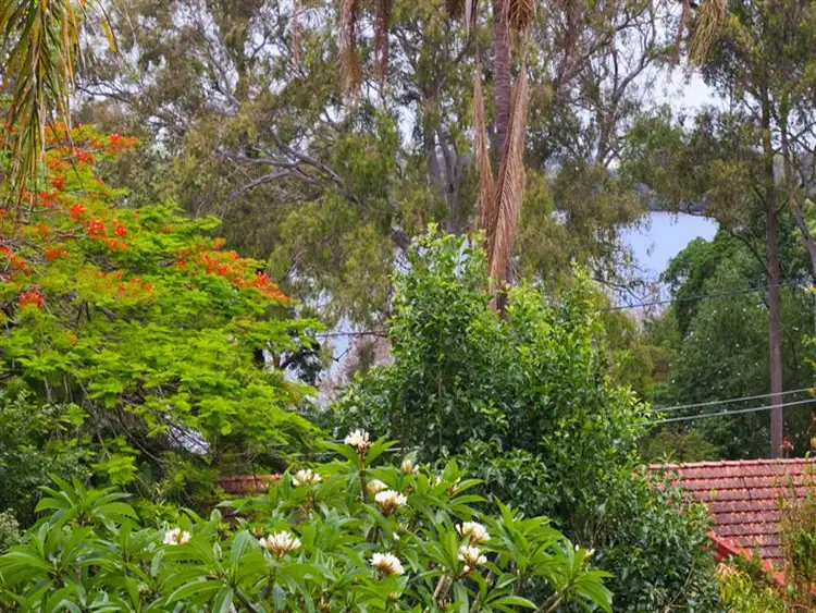 Seventh view of Homely house listing, 12 Tarcoola Street, St Lucia QLD 4067