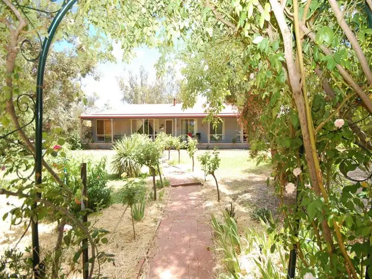 31 McAlister Street, Darlington Point NSW 2706