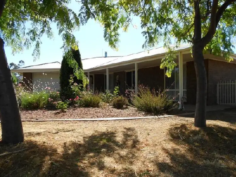 Sixth view of Homely house listing, 6 Thomas Court, Bordertown SA 5268