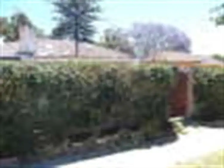 Second view of Homely house listing, 35 Loxwood Road, Balga WA 6061
