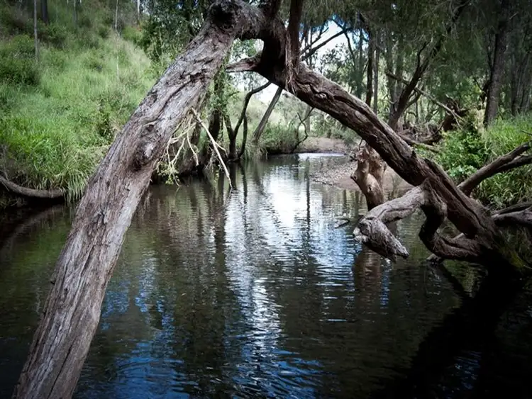 Seventh view of Homely rural property listing, Address available on request