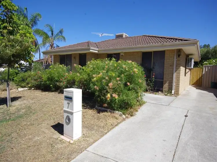 Second view of Homely house listing, 7 Manna Close, Mirrabooka WA 6061
