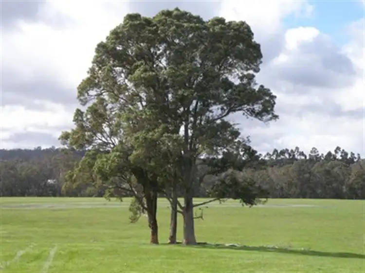 Third view of Homely rural property listing, Lot 109 Dean Road, Nannup WA 6275