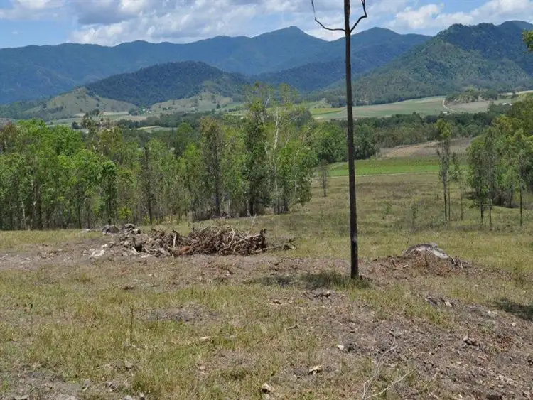 Seventh view of Homely rural property listing, Lot 13 Trueman-Depot Road, Pinnacle QLD 4741