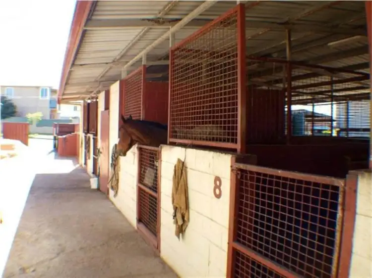 Fourth view of Homely house listing, 1 Williams Avenue, Hendra QLD 4011