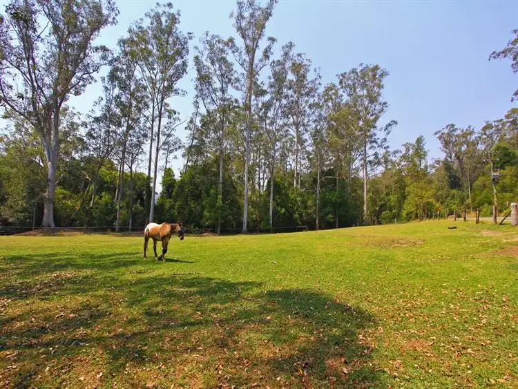 Third view of Homely rural property listing, 1290 Yarramalong Road, Kulnura NSW 2259