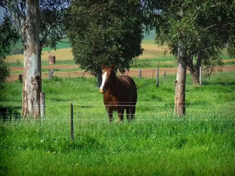 Seventh view of Homely house listing, Address available on request