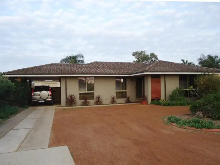 20 Tamblyn Street, Spalding WA 6530