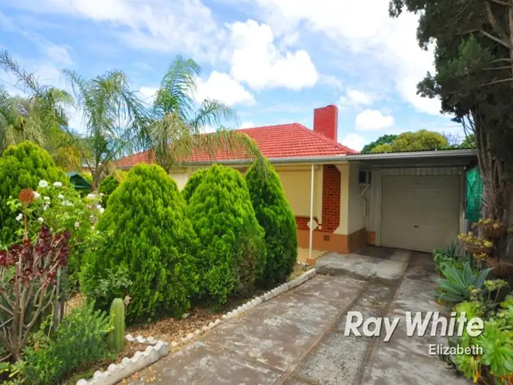 Second view of Homely house listing, 31 Bloomfield Crescent, Elizabeth Downs SA 5113