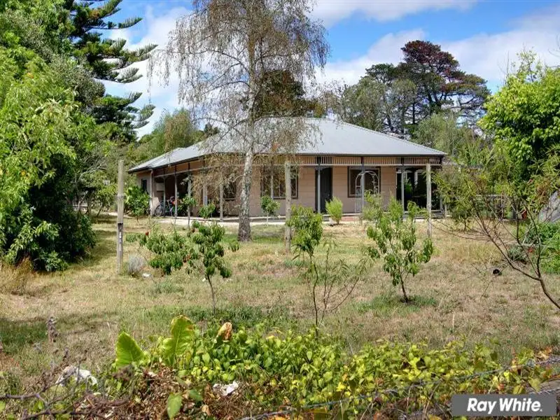 Main view of Homely rural property listing, 201 Mornington Tyabb Road, Tyabb VIC 3913