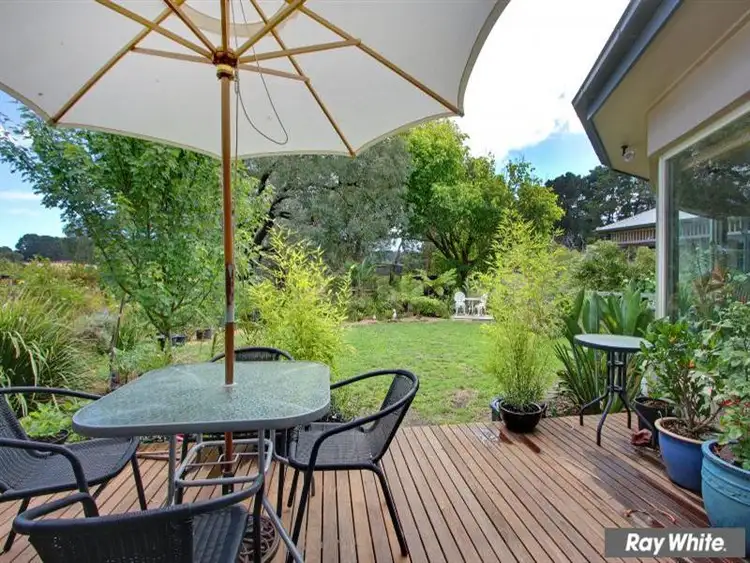 Fifth view of Homely rural property listing, 201 Mornington Tyabb Road, Tyabb VIC 3913