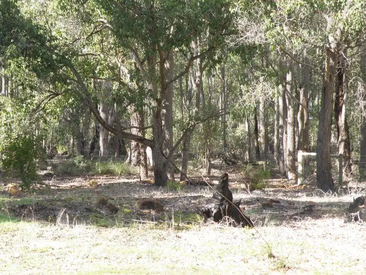Second view of Homely house listing, Lot 20 Cockatoo Drive, Nannup WA 6275