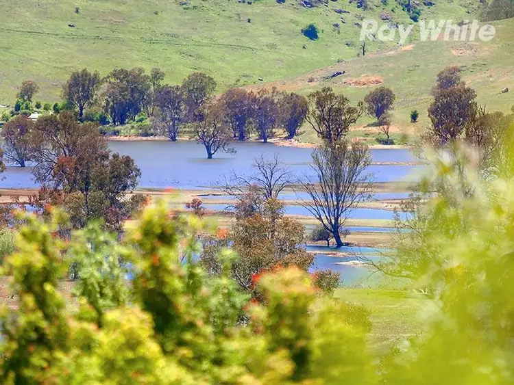 380 Omeo Highway, Tallangatta VIC 3700